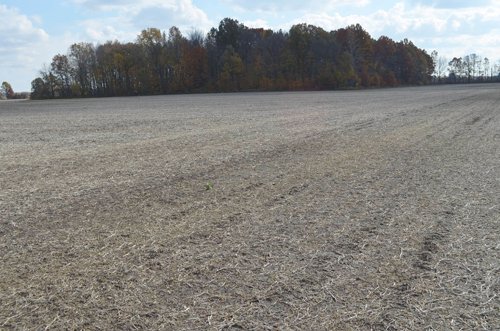 Property photo 39 - 75.3 Acres Offered in 2 Tracts